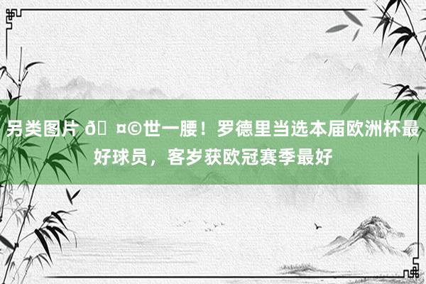 另类图片 ?世一腰！罗德里当选本届欧洲杯最好球员，客岁获欧冠赛季最好