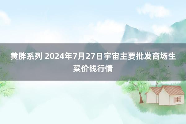 黄胖系列 2024年7月27日宇宙主要批发商场生菜价钱行情