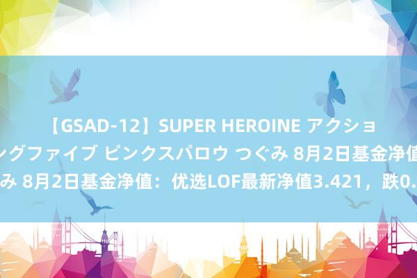 【GSAD-12】SUPER HEROINE アクションウォーズ 超翼戦隊ウィングファイブ ピンクスパロウ つぐみ 8月2日基金净值：优选LOF最新净值3.421，跌0.58%