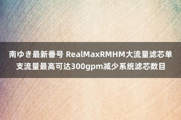 南ゆき最新番号 RealMaxRMHM大流量滤芯单支流量最高可达300gpm减少系统滤芯数目