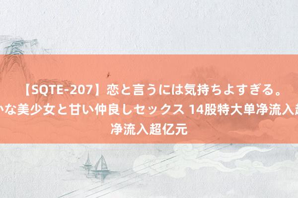 【SQTE-207】恋と言うには気持ちよすぎる。清らかな美少女と甘い仲良しセックス 14股特大单净流入超亿元