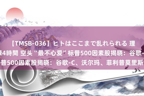 【TMSB-036】ヒトはここまで乱れられる 理性崩壊と豪快絶頂の記録4時間 空头“最不心爱”标普500因素股揭晓：谷歌-C、沃尔玛、菲利普莫里斯