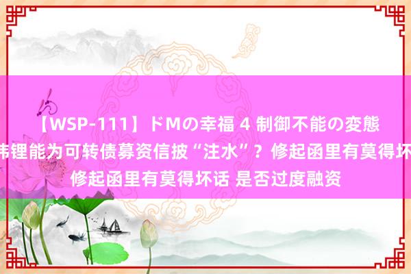 【WSP-111】ドMの幸福 4 制御不能の変態ボディ4時間 亿纬锂能为可转债募资信披“注水”？修起函里有莫得坏话 是否过度融资