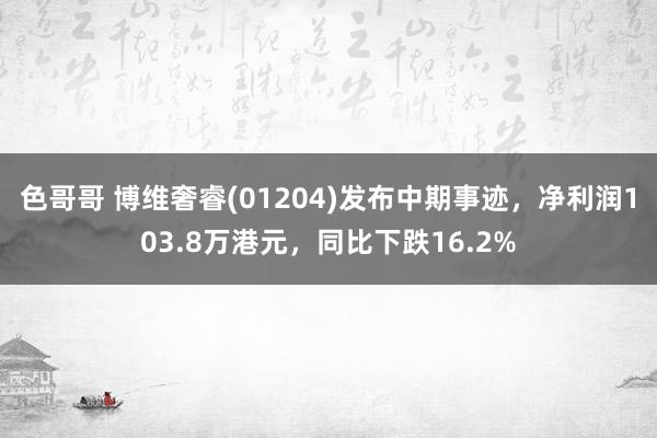 色哥哥 博维奢睿(01204)发布中期事迹，净利润103.8万港元，同比下跌16.2%