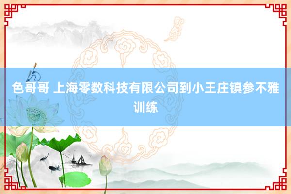 色哥哥 上海零数科技有限公司到小王庄镇参不雅训练