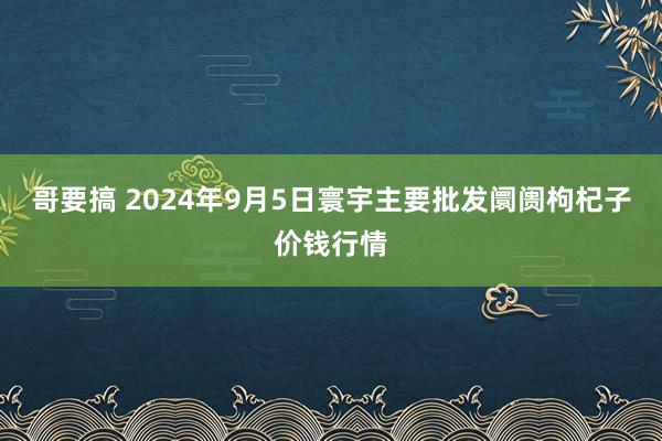 哥要搞 2024年9月5日寰宇主要批发阛阓枸杞子价钱行情