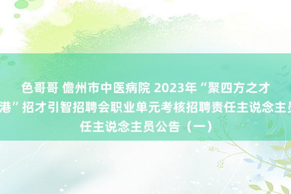 色哥哥 儋州市中医病院 2023年“聚四方之才，共建自贸港”招才引智招聘会职业单元考核招聘责任主说念主员公告（一）